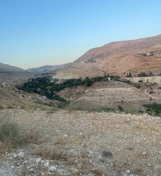 Opposite the Al Ameerat neighbourhood, 37 dunums in Wadi Shuaib, Bader Al Jadedeh
