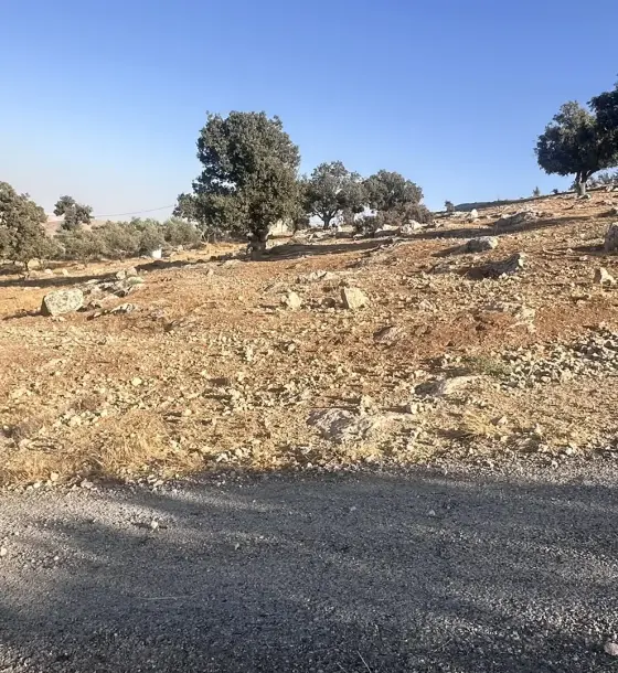 Sarout high ground: 4,483 m² plot surrounded by oak forest