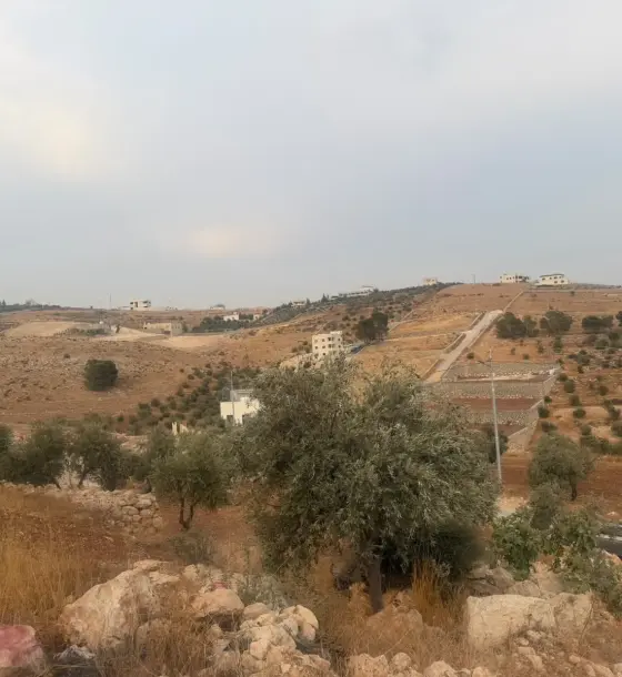 داخل التنظيم في دغيليب بأم رمانة أرض 700 م² على ثلاثة شوارع