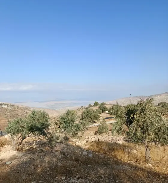 Western views from 5 dunums of olive land on two streets, Al Subeihi, Salt