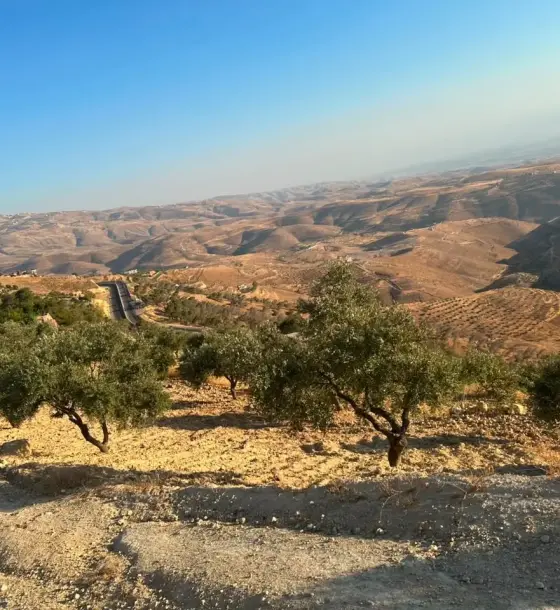 مطلة على فلسطين، أرض سكن ريفي 2017 م² في ميسرا الغربية بالصبيحي