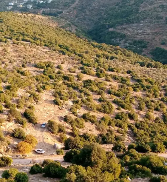 Reclaimed 9-dunum farmland with a 255 m road frontage in Ajloun