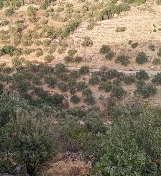 Ba'oun, Ajloun: 3,900 m² share of a plot overlooking Wadi Al-Rayyan