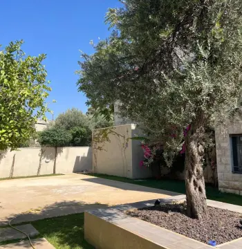 Amazing Two bedroom Apartment for rent #2850