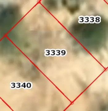 Land for sale near the dead sea #2516