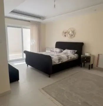 Furnished Apartment to Rent #1242