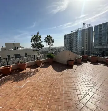 Furnished apartment for rent in Abdoun #984