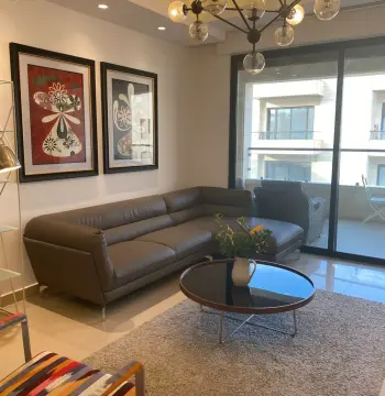 Furnished Apartment to Rent #352