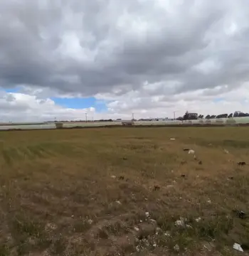 Land For Sale In Alkhadra'a #4080