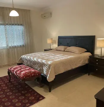Furnished Apartment to Rent #1276