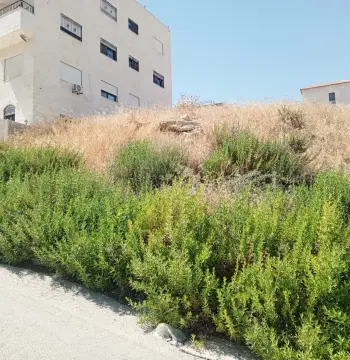أرض للبيع في ابو نصير