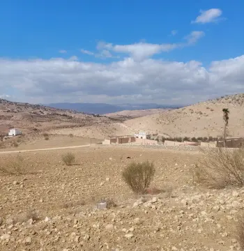 Land for sale in Sarout