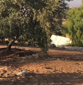 أرض للبيع في Al-Alouk