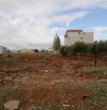 Land for sale in Al Sareeh
