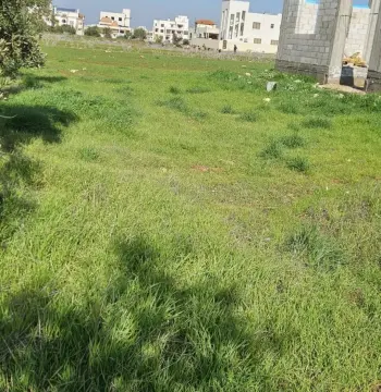 أرض للبيع في Bushra