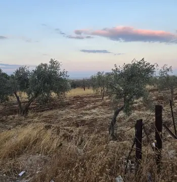 Land for sale in An-Nuayyimah