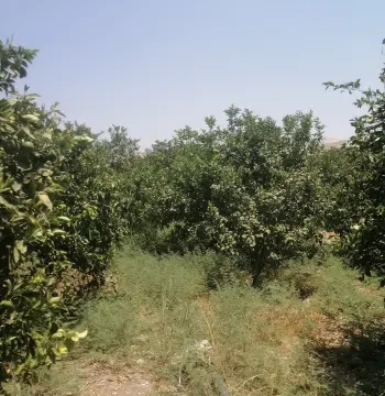 أرض للبيع في North Shuna