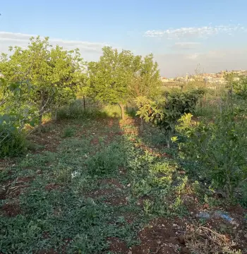أرض للبيع في Kitim