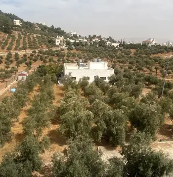 أرض للبيع في Al Saro