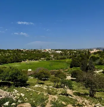 Land for sale in Zay