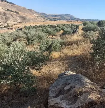 أرض للبيع في Jala'd