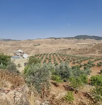 أرض للبيع في Jala'd