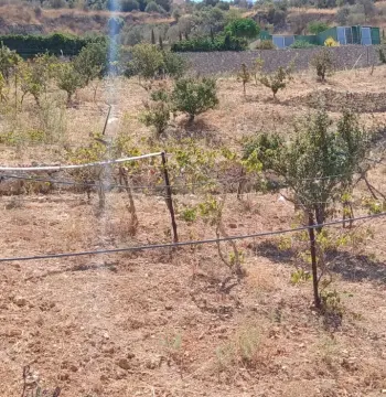 Land for sale in Kafr Hooda