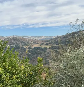 Land for sale in Wadi Shua'ib