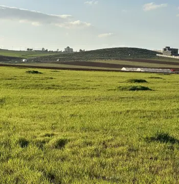 Land for sale in Madaba Center