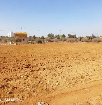 Land for sale in Al-Fayha'