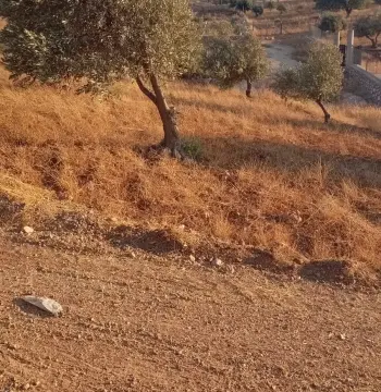 أرض للبيع في Marsa'