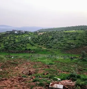 أرض للبيع في Borma