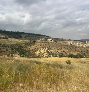 أرض للبيع في Al-Rashaida