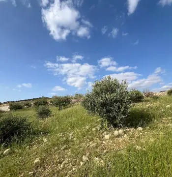 أرض للبيع في Al-Rashaida