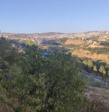 Land for sale in Al-Kittah