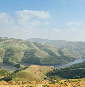 أرض للبيع في Al-Majdal