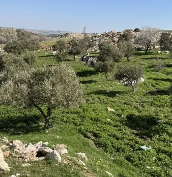أرض للبيع في Sakhra