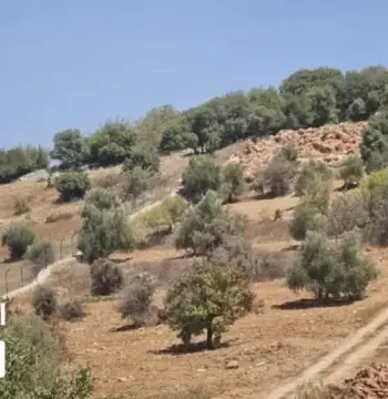 أرض للبيع في I'bbeen