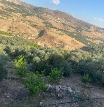 أرض للبيع في Kuforanja