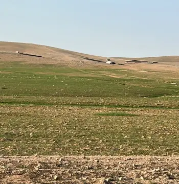أرض للبيع في Al-Badiah Ash-Shamaliyah