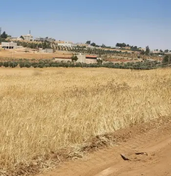 Land for sale in Rhab