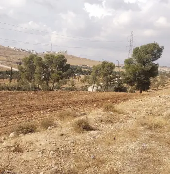أرض للبيع في Ain wa Al-Ma'mariyyeh