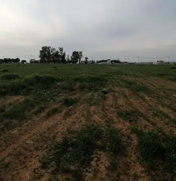 أرض للبيع في Thaghrat Al-Gub