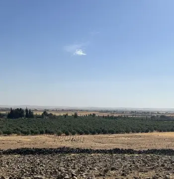 Land for sale in Um Al Jimal