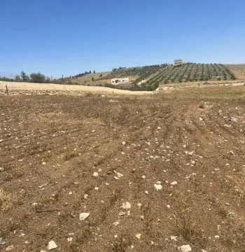 Land for sale in Hayyan Al Moshref