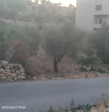 Land for sale in Safoot
