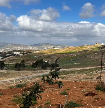 Land for sale in Safoot