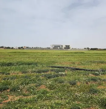 أرض للبيع في أم العمد