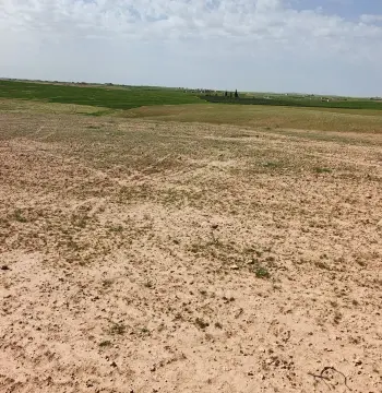 Land for sale in Umm Al-Rasas