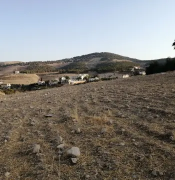 Land for sale in Jordan Street